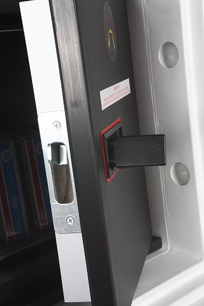 Phoenix Datacare Data Safe (DS2000)