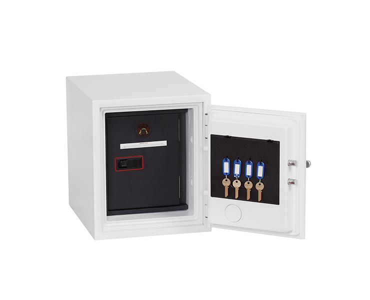 Phoenix Datacare Data Safe (DS2000)