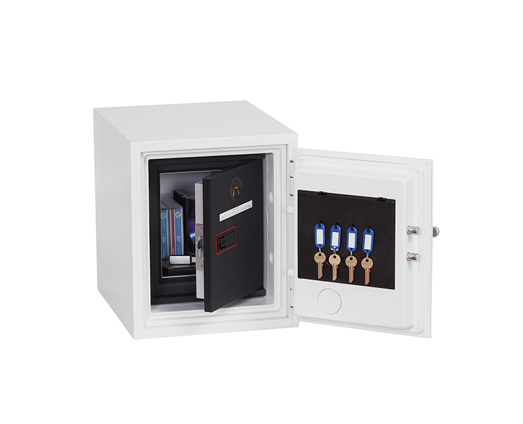 Phoenix Datacare Data Safe (DS2000)