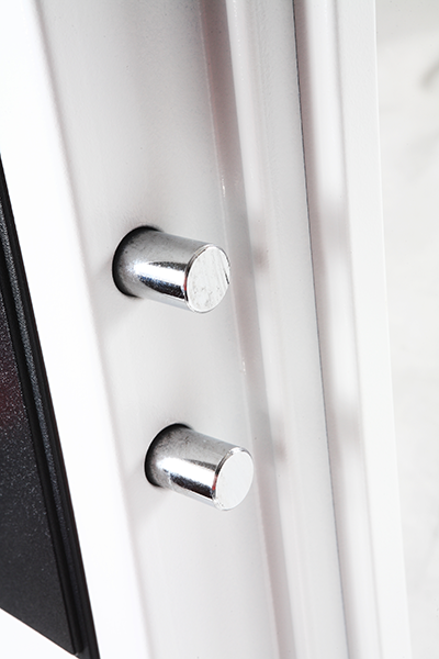 Phoenix Datacare Data Safe (DS2000)