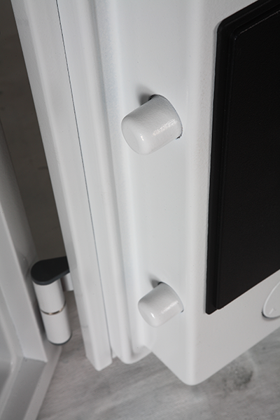 Phoenix Datacare Data Safe (DS2000)