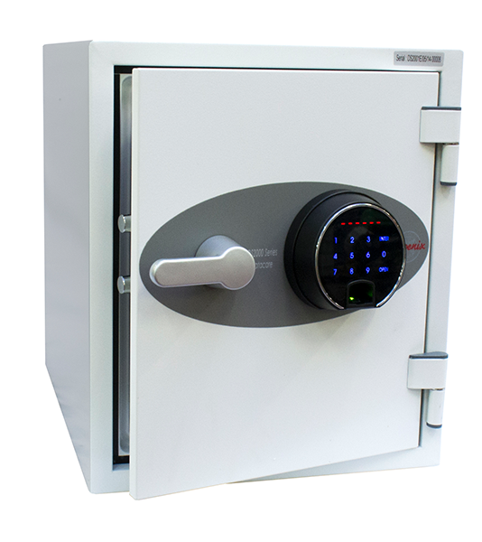 Phoenix Datacare Data Safe (DS2000)