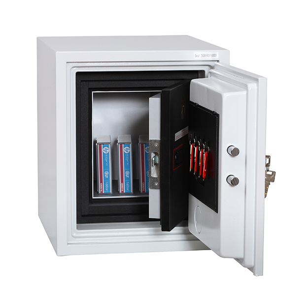 Phoenix Datacare Data Safe (DS2000)