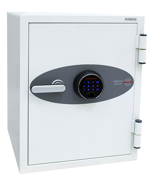 Phoenix Datacare Data Safe (DS2000)