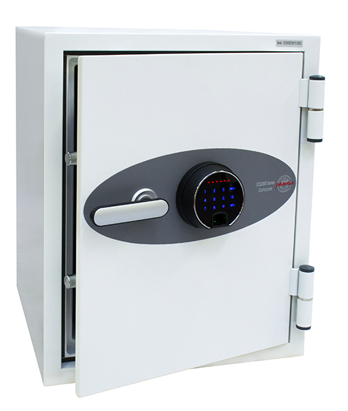 Phoenix Datacare Data Safe (DS2000)