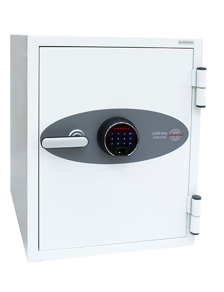 Phoenix Datacombi Data Safe (DS2500)