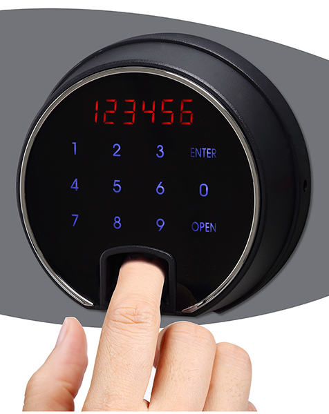 Phoenix Data Commander (DS4620)