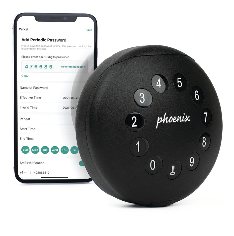 Phoenix Palm Smart Key Safe (KS0210)