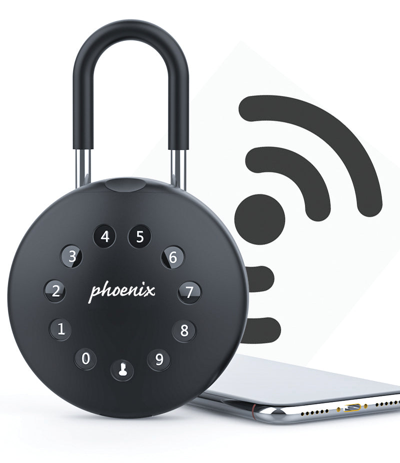 Phoenix Palm Smart Key Safe (KS0210)