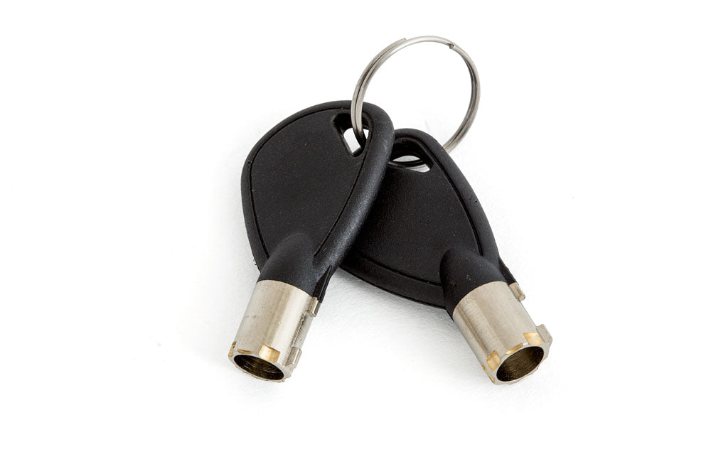 Phoenix Dione Hotel & Laptop Safe (SS0300)