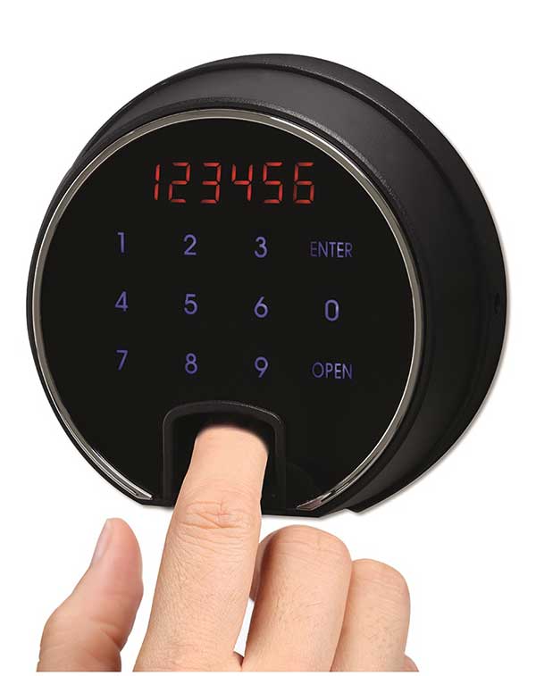 Phoenix SecurStore Security Safe (SS1160)